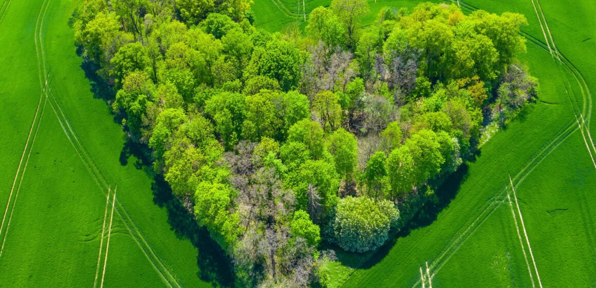 curioso-photography-U2cO6cDJhik-unsplash