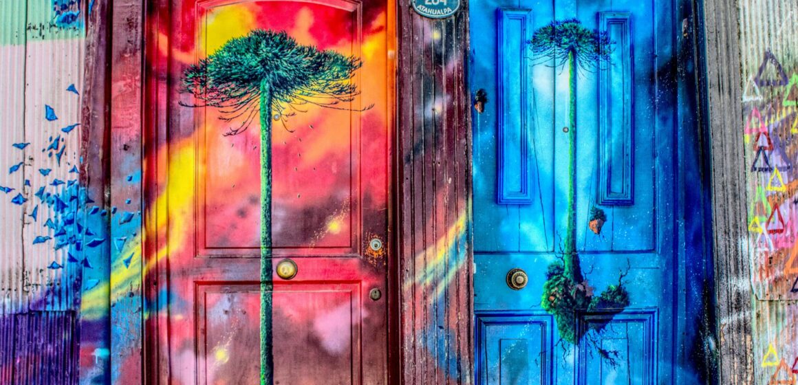 luis-alfonso-orellana-WjIB-6UxA5Q-unsplash